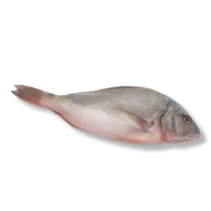 Pescado Pargo entero (2.54 kg / 5.60 lb)